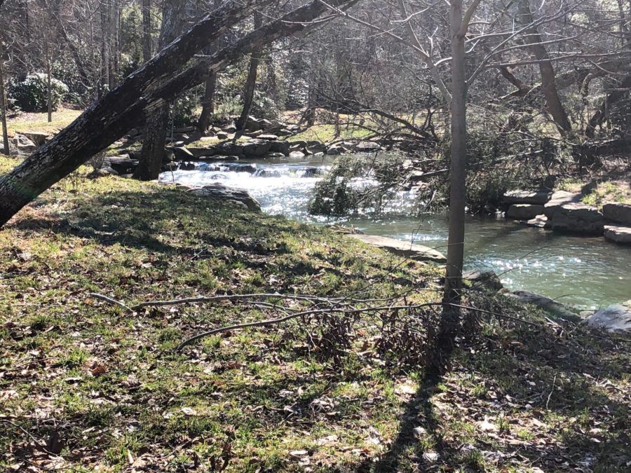 second creek in March,Mountain water adventures, fly fishing, musky fishing wv, fly fishing wv, fly fishing for musky, native trout, group trip fly fishing, trout fishing wv, musky on a fly, rainbow trout wv, spring fed fly fishing streams, brown trout wv, golden trout wv, certified fishing guide, certified fishing guide wv, wv, west Virginia, private water fly fishing, west Virginia fly fishing, private fly fishing, private land fly fishing, Monroe County WV, Greenbrier County WV, stream restoration, restored fly fishing stream, Greenbrier, Greenbrier resort, White Sulphur Springs, fly casting instruction, James Crews, Clare Lyons, Second Creek, Drop Lick Creek, the New River, Lazy River, fly fishing gear,Second Creek, fly fishing, WV