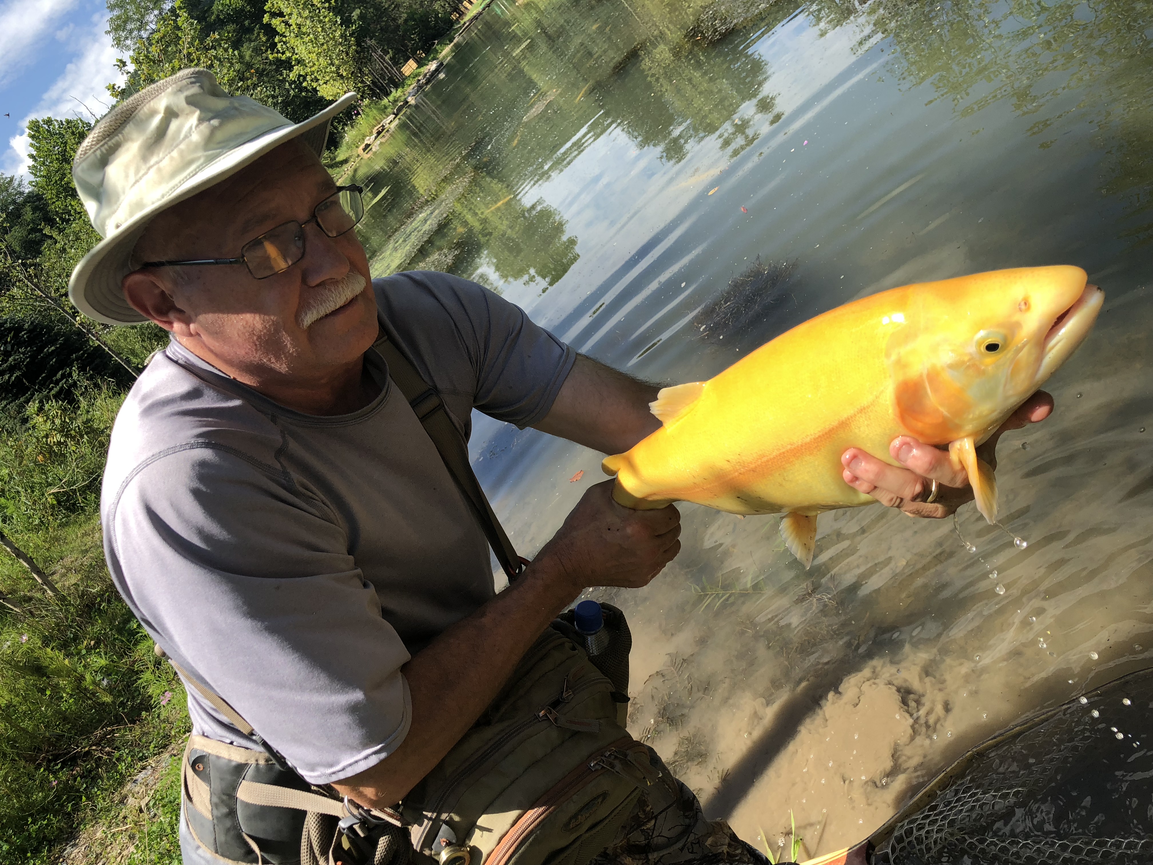 James Crews with a golden trout,Mountain water adventures, fly fishing, musky fishing wv, fly fishing wv, fly fishing for musky, native trout, group trip fly fishing, trout fishing wv, musky on a fly, rainbow trout wv, spring fed fly fishing streams, brown trout wv, golden trout wv, certified fishing guide, certified fishing guide wv, wv, west Virginia, private water fly fishing, west Virginia fly fishing, private fly fishing, private land fly fishing, Monroe County WV, Greenbrier County WV, stream restoration, restored fly fishing stream, Greenbrier, Greenbrier resort, White Sulphur Springs, fly casting instruction, James Crews, Clare Lyons, Second Creek, Drop Lick Creek, the New River, Lazy River, fly fishing gear