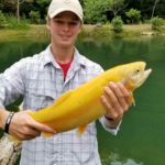 boy with golden trout,Mountain water adventures, fly fishing, musky fishing wv, fly fishing wv, fly fishing for musky, native trout, group trip fly fishing, trout fishing wv, musky on a fly, rainbow trout wv, spring fed fly fishing streams, brown trout wv, golden trout wv, certified fishing guide, certified fishing guide wv, wv, west Virginia, private water fly fishing, west Virginia fly fishing, private fly fishing, private land fly fishing, Monroe County WV, Greenbrier County WV, stream restoration, restored fly fishing stream, Greenbrier, Greenbrier resort, White Sulphur Springs, fly casting instruction, James Crews, Clare Lyons, Second Creek, Drop Lick Creek, the New River, Lazy River, fly fishing gear